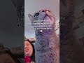 Me and radio the ham shack cat making content