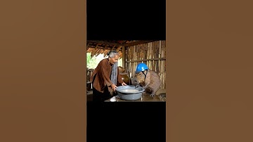 Bà và Capybara | Capy vo gạo phụ bà… #capybara #funny #ytshorts #haihuoc #giaitri #shorts #fyp