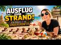 Strandurlaub für Ameisen? Dieser Story-Modus eskaliert schnell