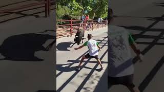 encierro Valdilecha 2025 primer toro de Capea