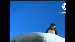 Pingu Falling And Death Blood noedolekcin logo (666)