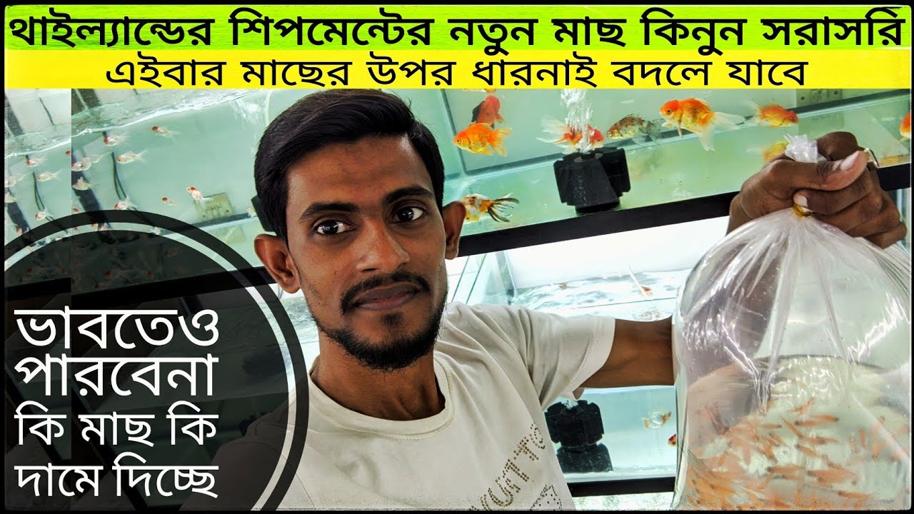 aquarium and fish price in Bangladesh।।🐠🐠 aquarium fish wholesale price