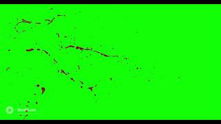 4k Blood Burst Slow Motion (Green Screen) 35 - Free Video Footage