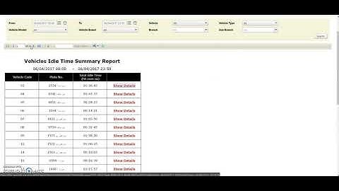 GPS Reports Vehicles Idle Time Summary