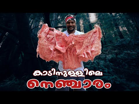 BEEF CHEST GRILL|32 KG COOKING|HUNGRY CAPTAIN