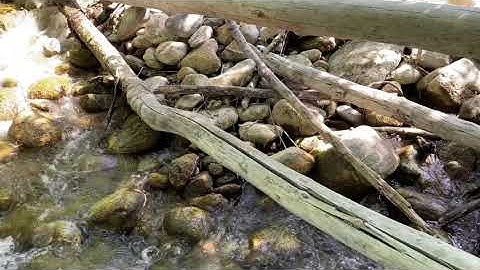 Ambient River + Eurorack Rings w/ Launchkey Mini Arp - Fun and Relaxing!