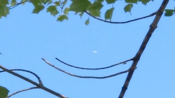 Case File 110739: New Brunswick, Canada