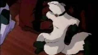 Shamanic Princess, Just Because.