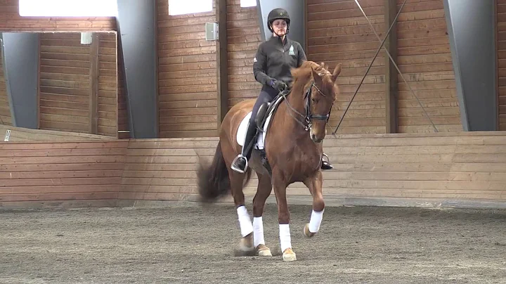 Nicol Hinde ~ Christophe Theallet Dressage Clinic ...