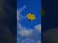 kite flying Pakistan 🪁😄 #kiteground #kite #kiteflying