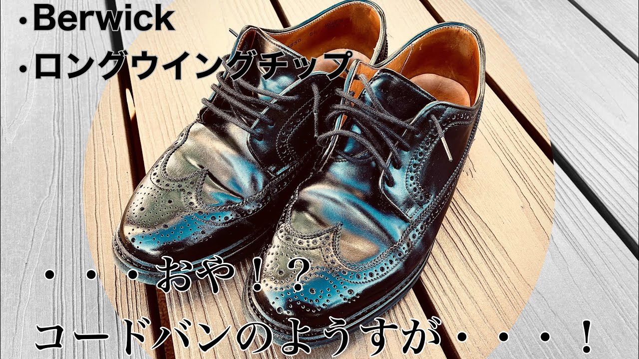 250日のコードバンの経年変化が素晴らしすぎた【Berwick】【ロング 