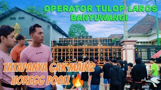 IKI LOO OPERATOR TULUPNYA BANYUWANGI, SUARA SULTAN MENGGELEGAR, BLAYER2 DI WILAYAH SUMBERSEWU