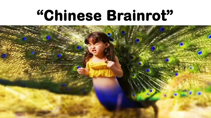 Chinese Brainrot 2