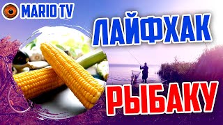 Повышаем уловистость насадки КУКУРУЗА. Совет рыбаку, карпятнику