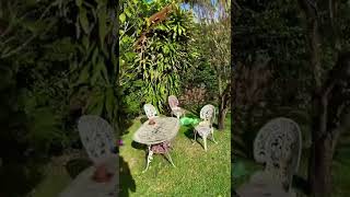 Backyard garden in Ponta Delgada - Azores, Portugal 🇵🇹