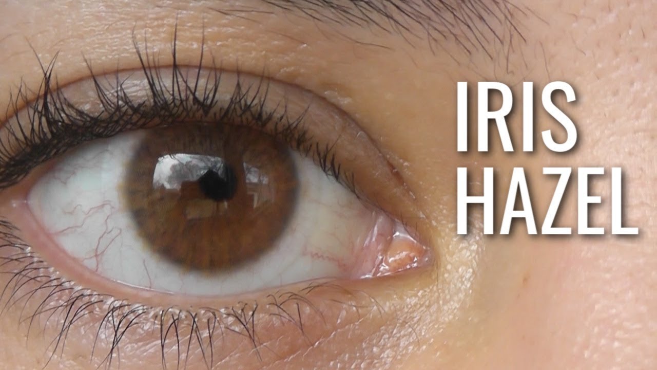 Siesta Crystal Iris Hazel Review | ZOOMED + Daylight (discount danica10) - YouTube