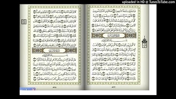 مقطع من سورة القيامة بصوت الأخ أسامة عطران وفقه الله