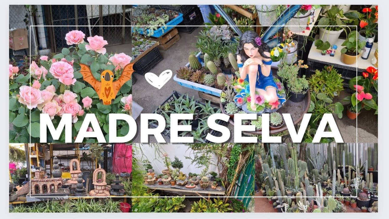 mercado  de  plantas Madreselva🪴| xochimilco | recorrido