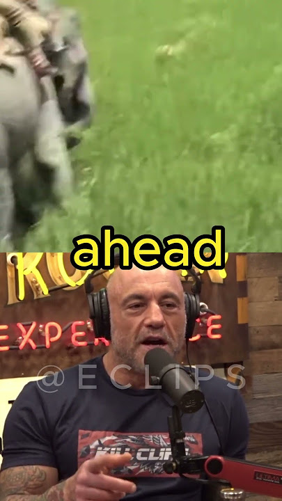 Tiger Attacks Man On Elephant | Joe Rogan & Mariana van Zeller
