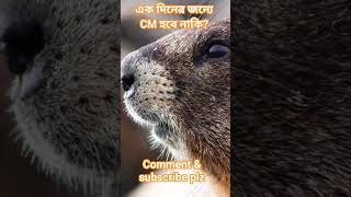 এক দিনের জন্যে CM হবে নাকি? #banglarmukh #deepthought #politics #tiktok #shortfeed #abpanadalive