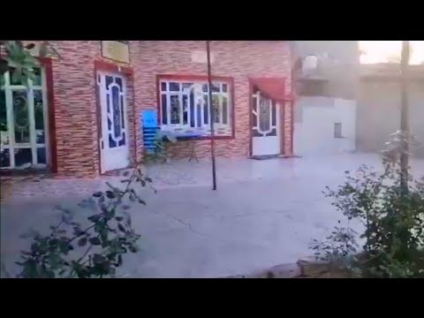 بستان المساحه ثلاثه دونم مع خمسة بيوت للبيع في بابل تقع على ثلاثة شوارع تبليط 07725726926 