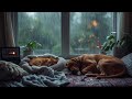 Rainy Day Lo-Fi for Dogs & Cats | Calming Pet Music with Gentle Rain Sounds