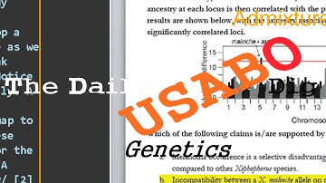 Admixture Mapping (Genetics)