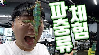 Interesting Wildlife Bug Shop in Real Life!!! [Kkuk TV]