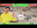 Animals Action Song Action Songs Brain Breaks Dream English Kids 