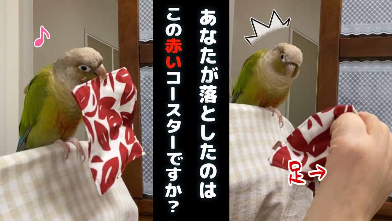 Subtitles I Picked Up The Parakeet Coaster With My Foot And Gave It To Her Youtube