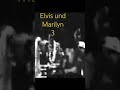 Elvis und Marilyn 3 #liebe #elvispresley #funny #lustig
