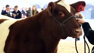 Livestock Evaluation CDE