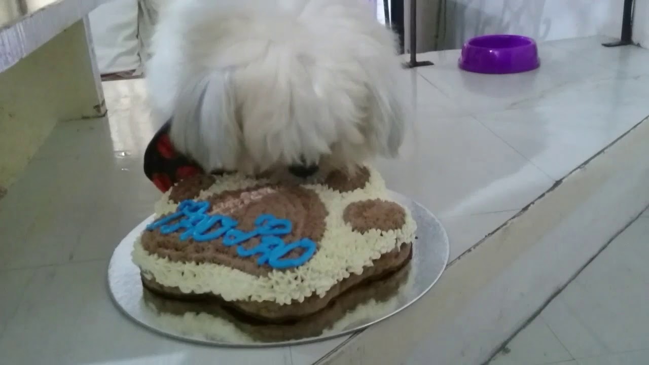 JOLLIBEE happy plus card