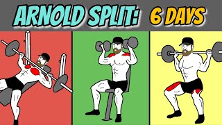 Arnold Split: 6 Days Gym Routine (Free Training Plan + Full Explanation)