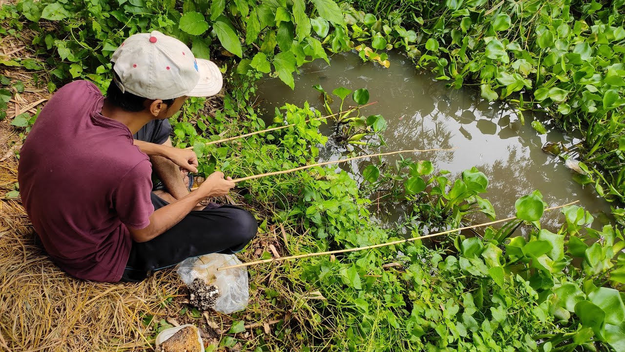 Fishing Best Fishing videos. Catching fish by hook in beautiful nature. YouTube