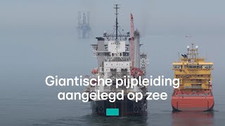 Download Lagu Met een grote pijpleiding CO2 van de Rotterdamse haven naar de Noordzeebodem brengen: zo gaat dat MP3 Download Lagu Met een grote pijpleiding CO2 van de Rotterdamse haven naar de Noordzeebodem brengen: zo gaat dat MP3