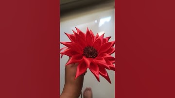 Thumbnail of Sun flower #oldies #coversong #singer #song #vintage #flowers #ihavethisthingwithplants #flowers
