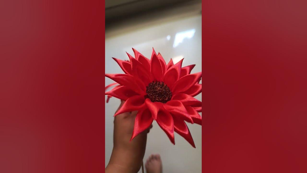 Sun flower #oldies #coversong #singer #song #vintage #flowers #ihavethisthingwithplants #flowers