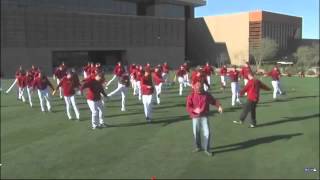 D-Backs Harlem Shake - Mlb