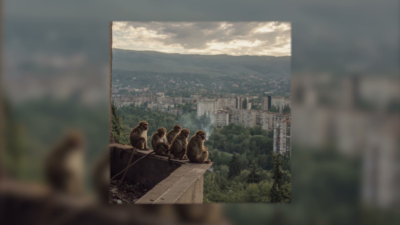 Xvale / ხვალე (G'G) - ლანდი ვარ