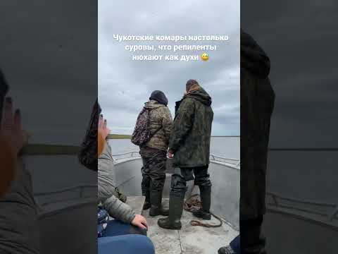 #Чукотка #путешествияпороссии #путешествия