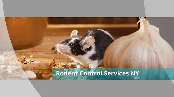 Residential or Commercial pest control Service | H...