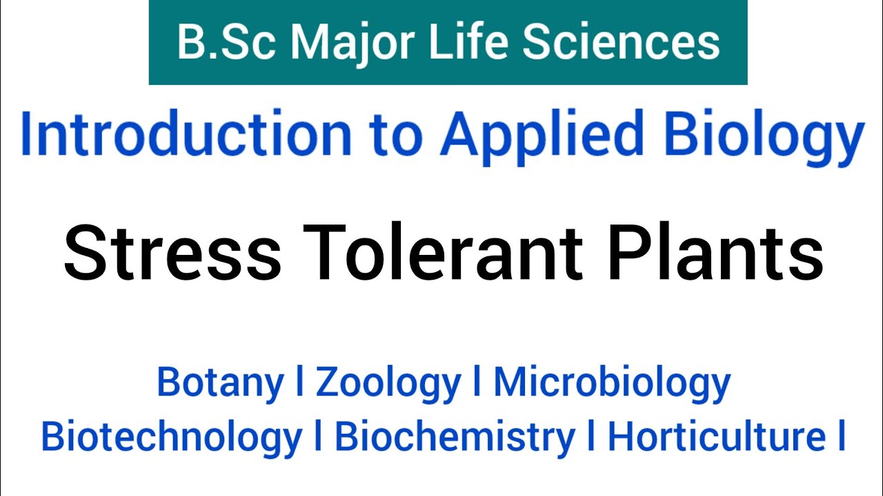 B.Sc - Major Biology | Introduction to Applied Biology | Objective mode Question paper |2024 l