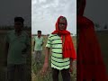 बिहार मे गेहूं की फसल अच्छी है #agricultura #farming #farmers