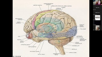 Overview and Intro to NM 2022