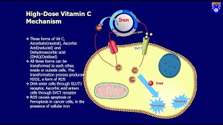 Clinical Studies of High Dose Intravenous Vitamin C in Cancer