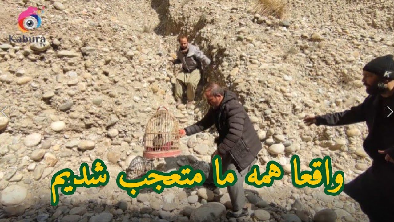 ما نزد ایشان میرفتیم که ناگهان با این صحنه روبرو شدیم !