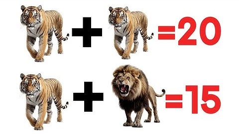 Magic Reasoning Question ll Test Your IQ-Level llदिमाग घुमा देने वाली पहेली | If You Are Genius ll