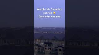 Foggy morning in Canada #canadawinter #summer #spring #sunrise #brampton #mississauga #toronto #usa