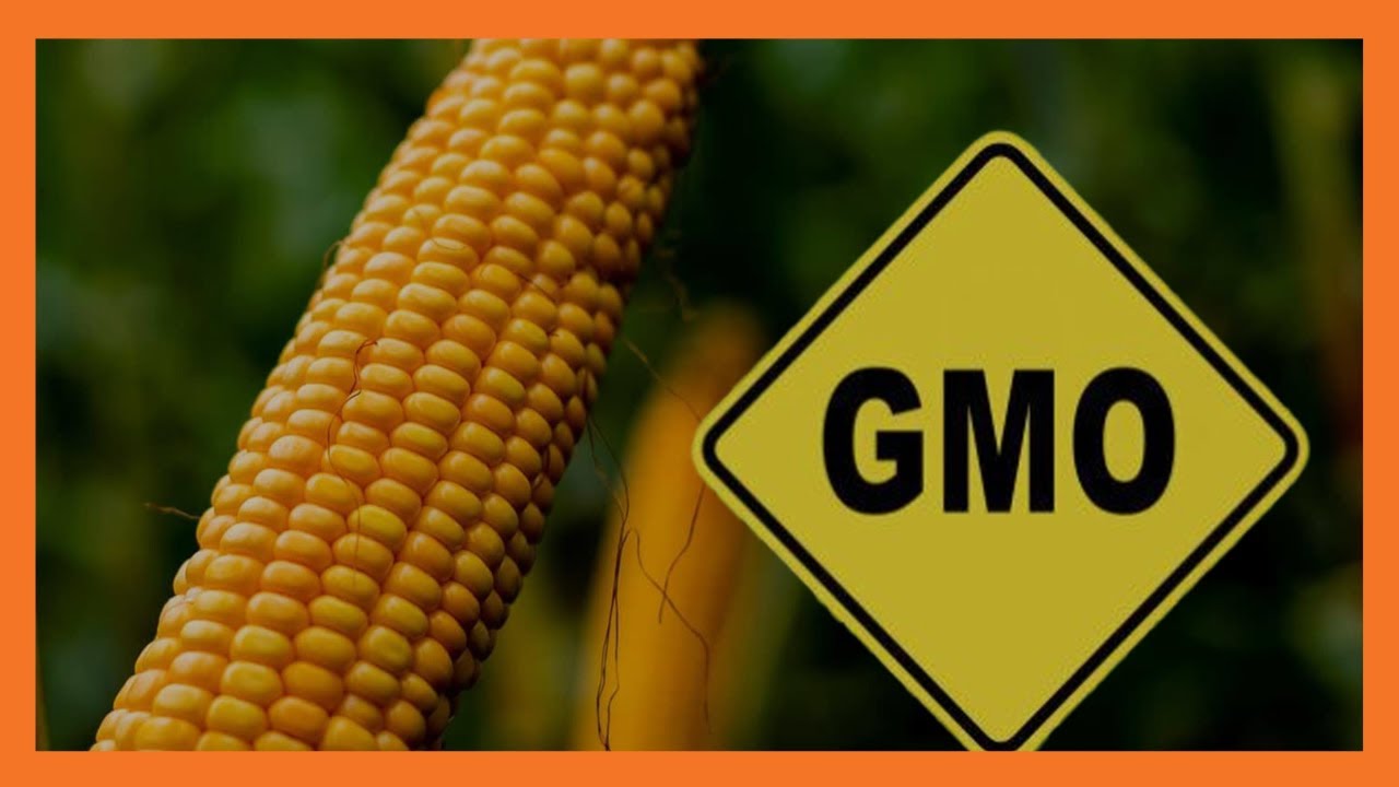 | JKLive | The GMO Dilemma [Part 2]